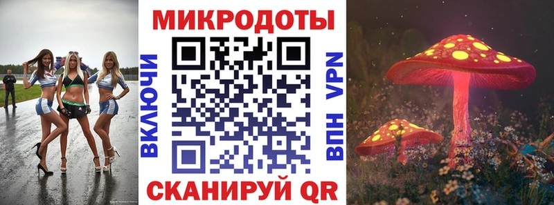 Купить закладки  Карпинск  Галлюциногенные грибы Psilocybine cubensis 